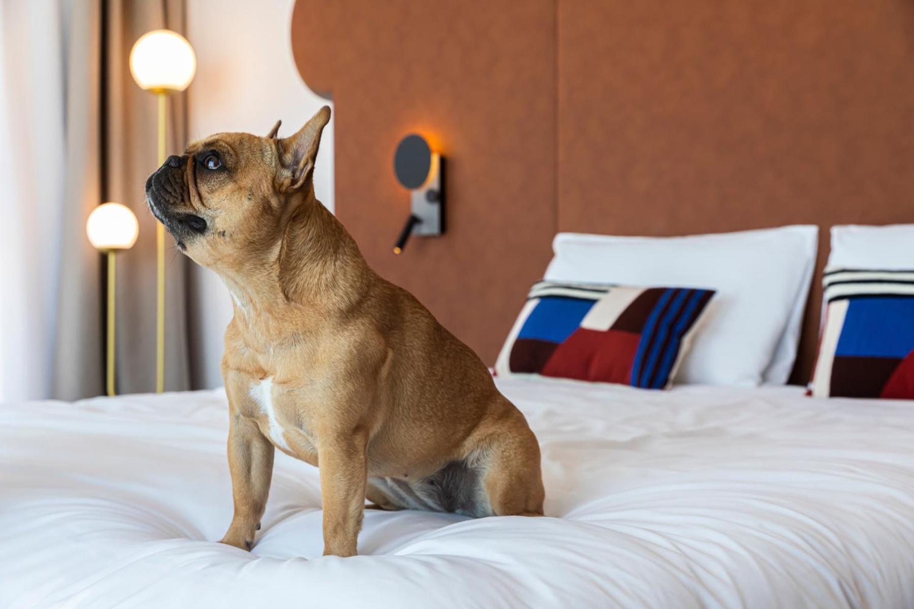 Mercure Dunkerque Centre Gare Dunkirk المظهر الخارجي الصورة